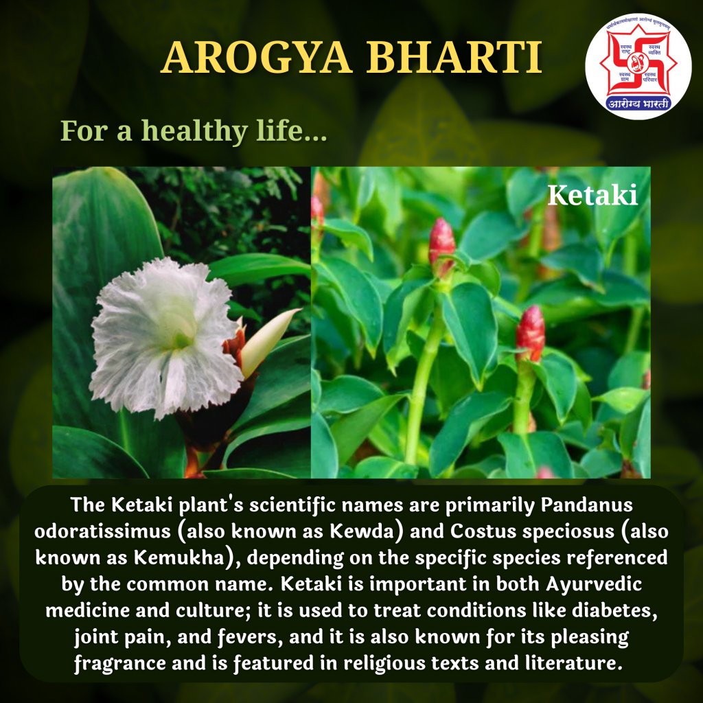 Medicinal Plant Ketaki