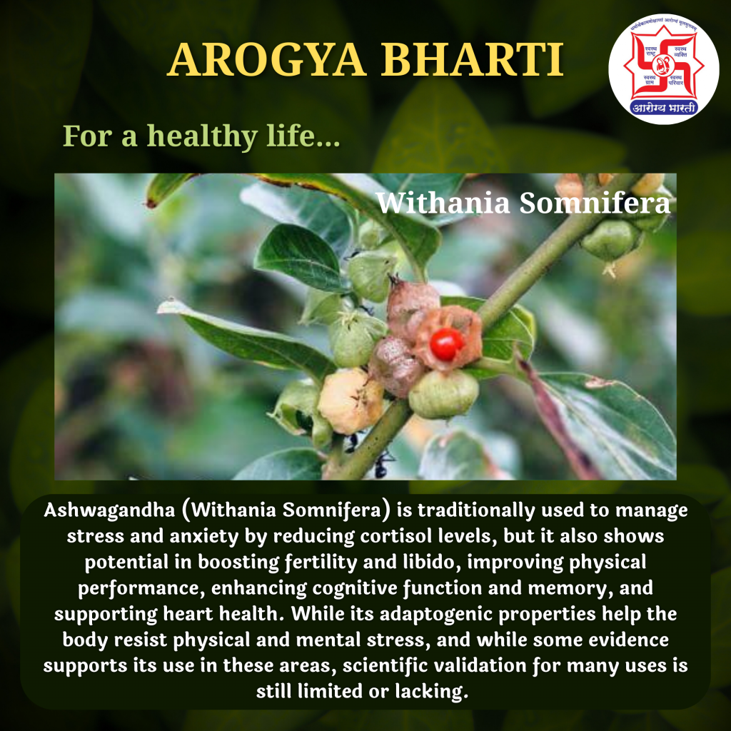 अश्वगंधा (Withania Somnifera)